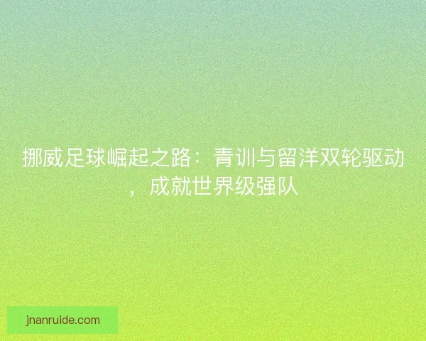 挪威足球崛起之路：青训与留洋双轮驱动，成就世界级强队